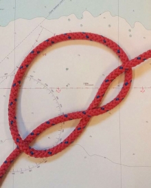 supeł potrójny, biczowników, kapucyński, krwawy cz1 foto: Aleksandra Szułczyńska