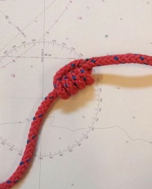 supeł potrójny, biczowników, kapucyński, krwawy cz3 foto: Aleksandra Szułczyńska