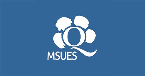 Znak Jakości MSEUS